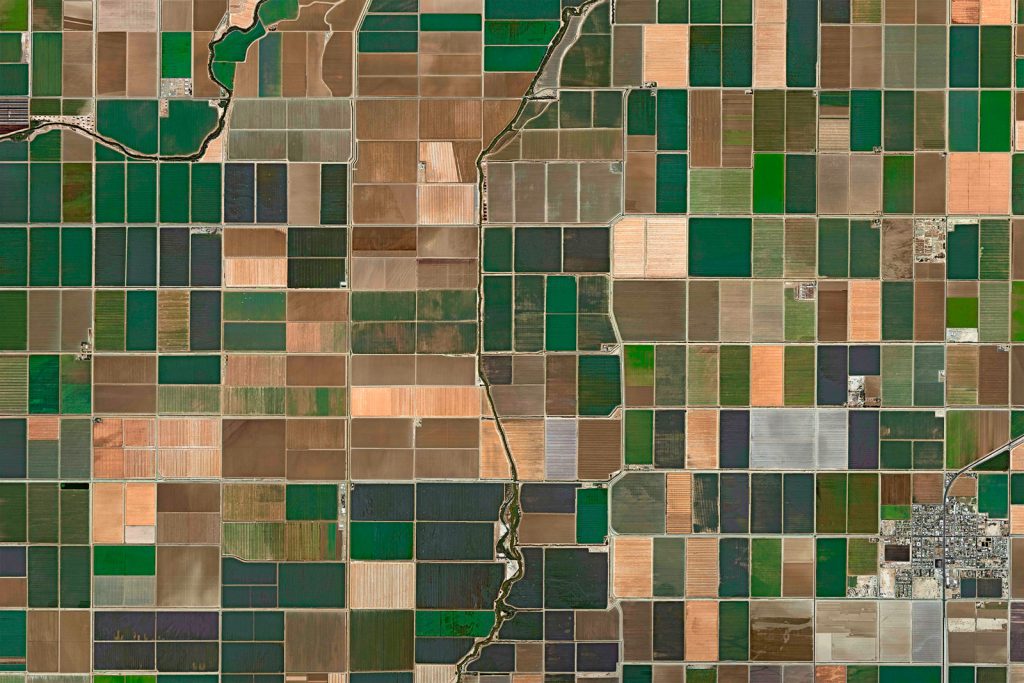 Agriculture
